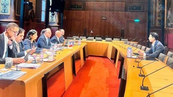 Investment Minister reviews Egypt expansion plans with six firms