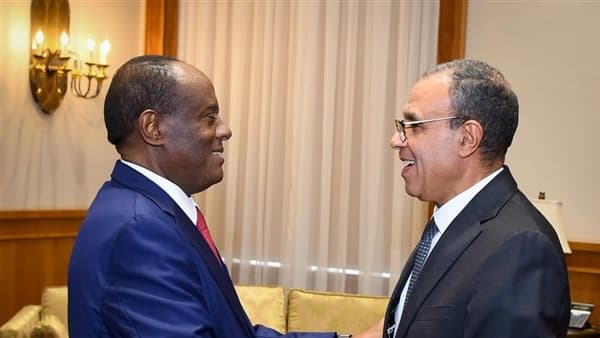 Foreign Minister discusses with Eritrean Economic Advisor