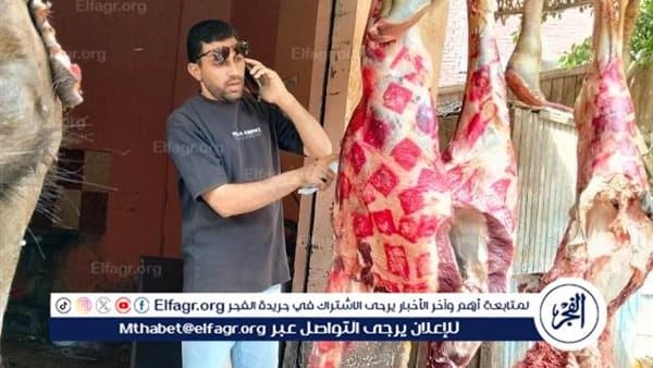 Review of 68 food reports in Beni Suef