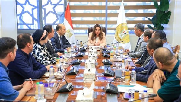 Local officials monitor waste efforts in Cairo and Alexandria