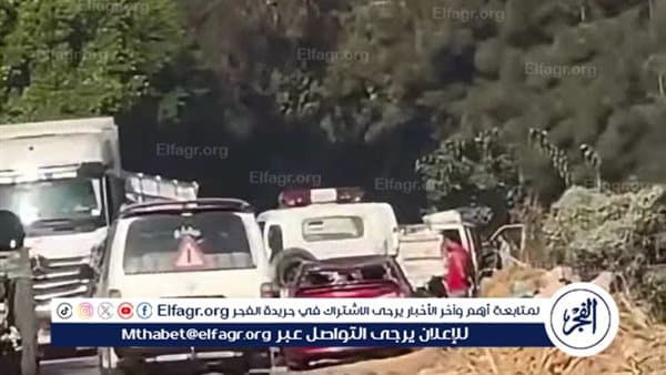 Two young men drown in Gharbia car crash
