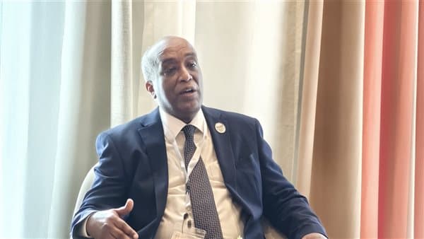 El Alamein Summit Focuses on Africa Development