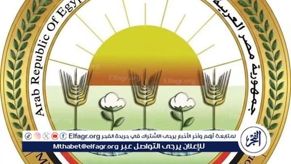 زراعة المنيا تبدأ حملة لمكافحة القوارض