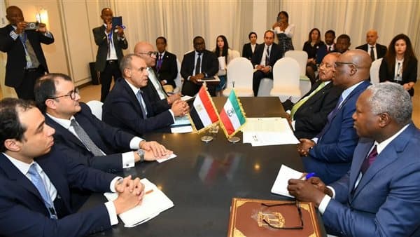 Egypt and Equatorial Guinea hold joint committee session