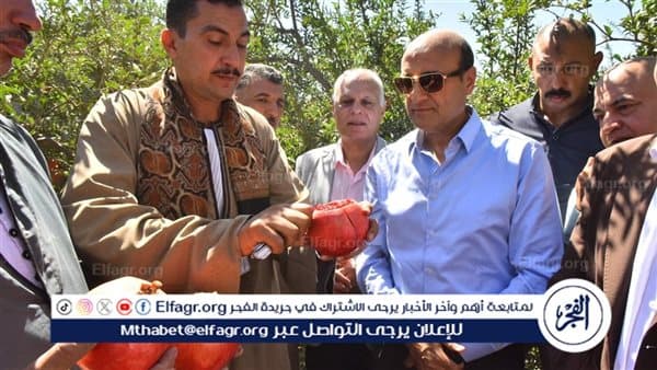 Assiut Governorate Reviews Pomegranate Harvest