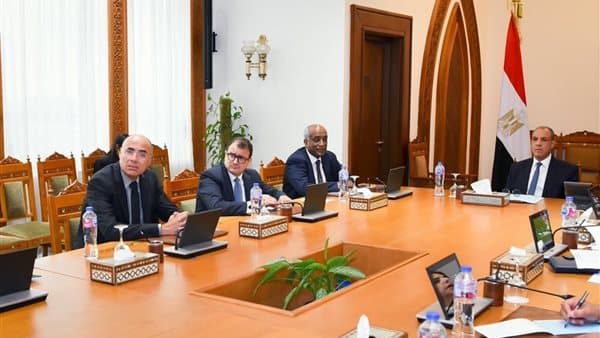 Foreign Minister discusses Egypt Agency's development
