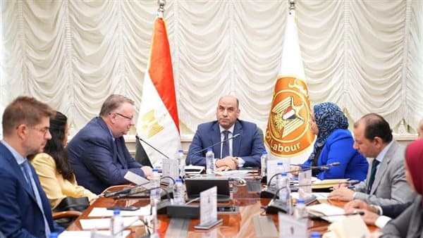 Labor Minister reviews employment strategy