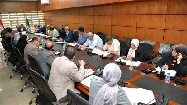 Dakahlia Deputy Governor reviews restoration progress