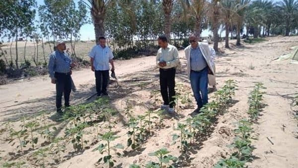 Al-Zira'a Highlights Sinai's Agricultural Progress