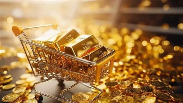 Gold price in Egypt on August 14, 2026