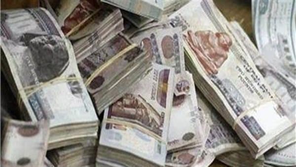 Interior Ministry details 10M EGP money laundering case