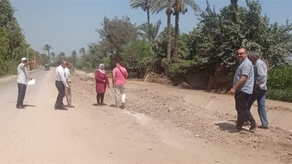Beni Suef committee inspects afforestation roads