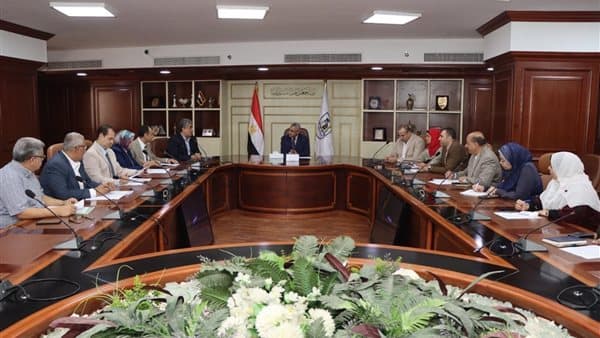 Beni Suef Governor Meets Disability Initiative