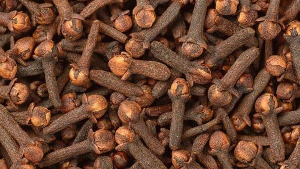 Cloves and nerve health: study insights