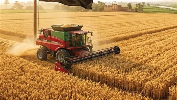 Egypt tops Arab wheat output in 2026
