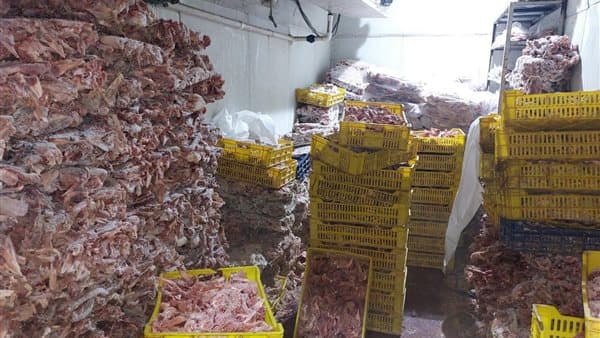 Giza Food Campaigns Find Violations Worth Millions