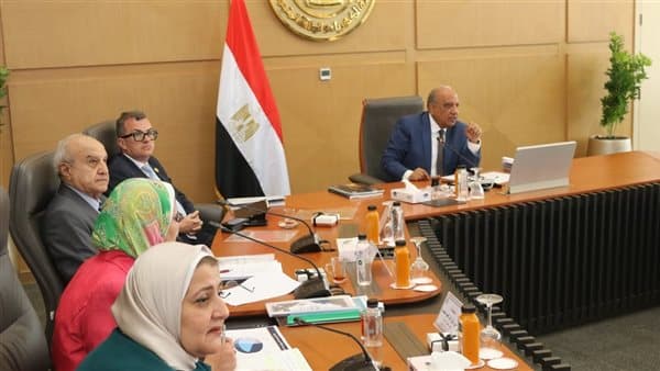 وزير الكهرباء: 37 مليار جنيه لتطوير شبكة النقل