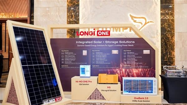 Longi tops solar shipments with new Egypt storage