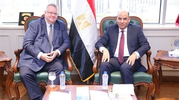 Egypt discusses key issues with global groups