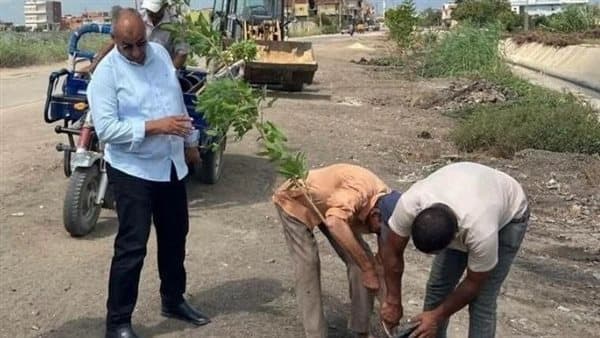 Sharqia Imposes Final Tree Cutting Ban
