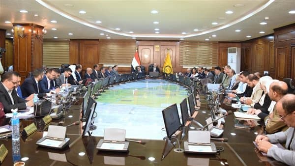 Beni Suef Uni President chairs economy session