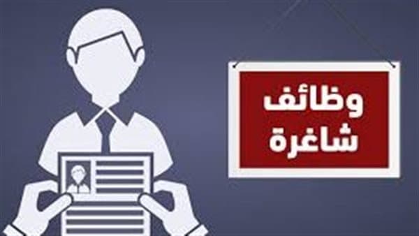 وظائف وزارة التضامن لعام 2026