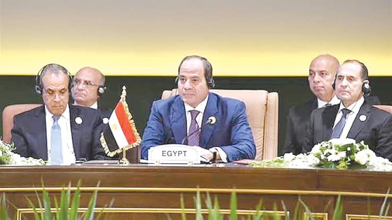 Sisi Denies Interference and Water Rights Concerns