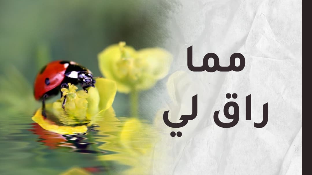 نِعَمٌ غافل عنها الكثير