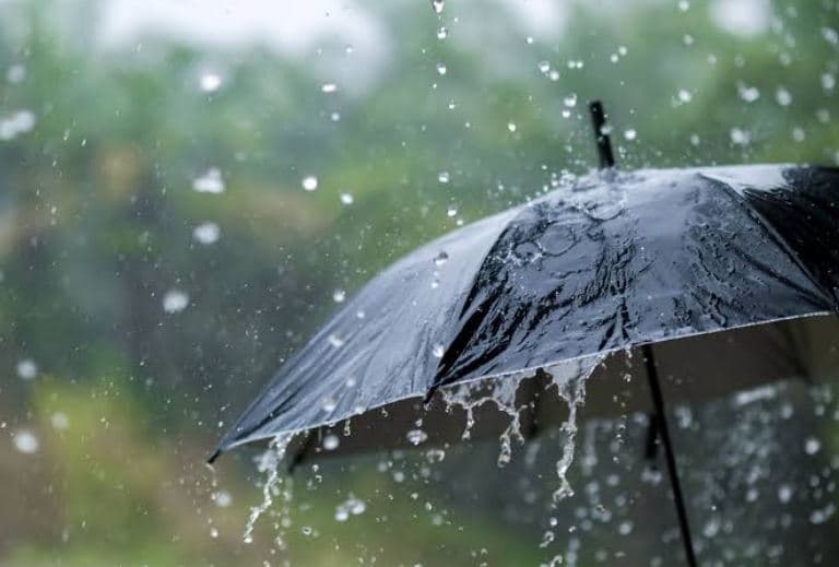 أمطار غزيرة في هذه الولايات