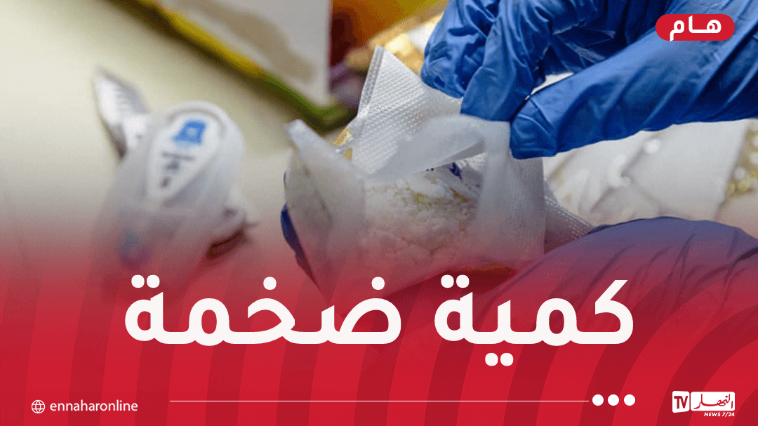 وهران: ضبط 2.28 طن كوكايين واعتقال 20 شخصا