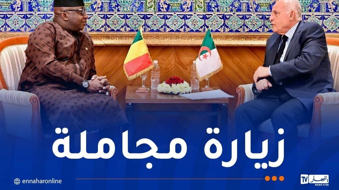وزير الخارجية يستقبل سفير مالي
