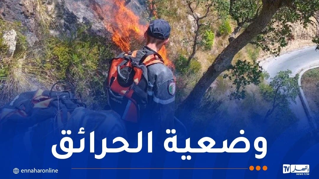 Bernawi wildfire affects over 141,000 hectares