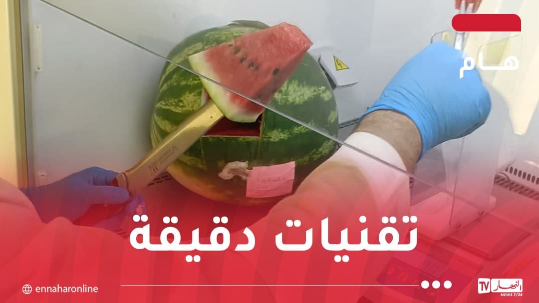 Ministry of Commerce Clarifies Watermelon Safety After Laboratory Tests