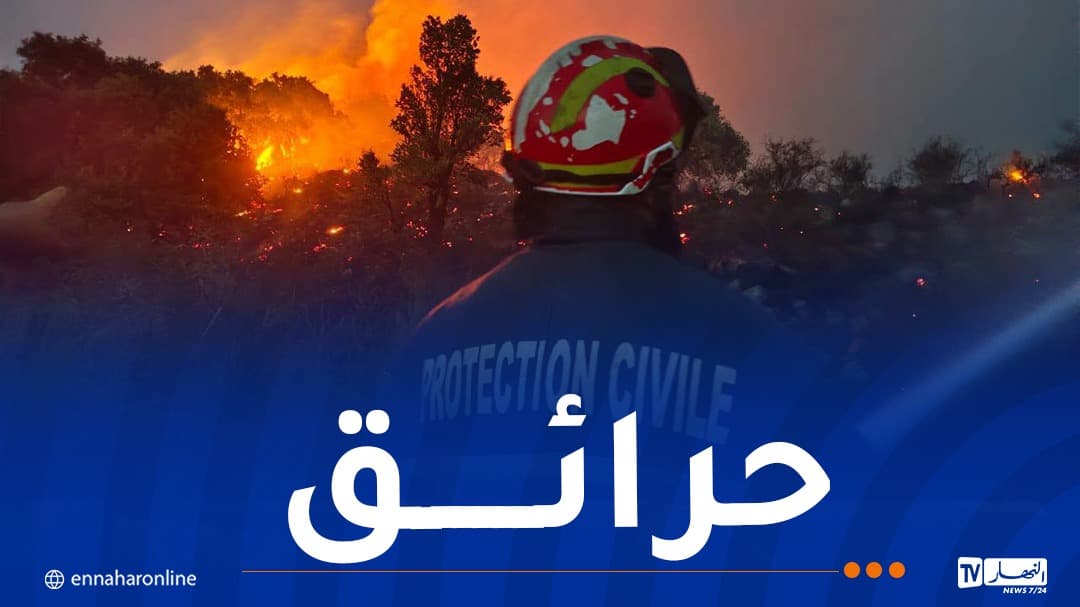 إخماد 124 حريقا واستمرار عمليات التدخل في سبع ولايات - النهار أونلاين