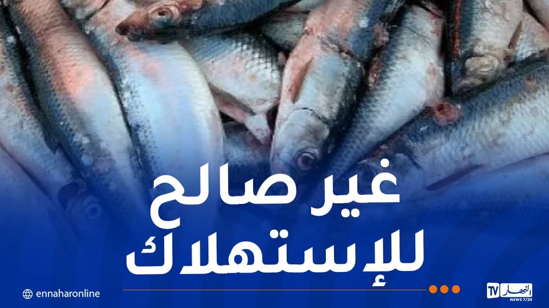 Bejaia: Authorities Seize Over 1,000 kg of Spoiled Sardines Intended for Consumption