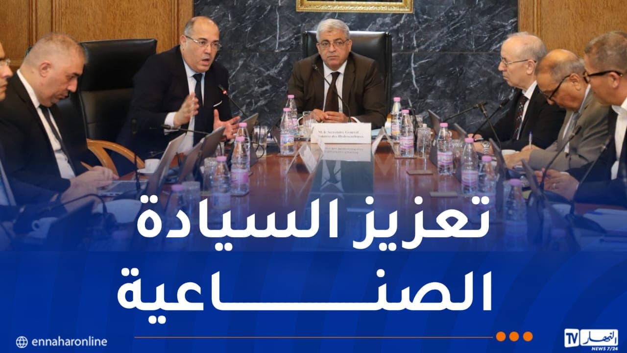 تنسيق بين القطاعات لمتابعة المشاريع المنجمية