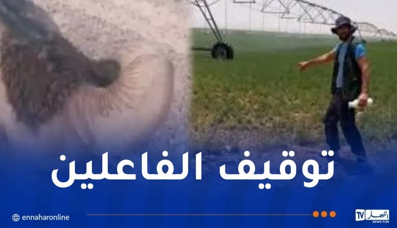 Al-Maniyah Two Held Over Camel Basin Attack
