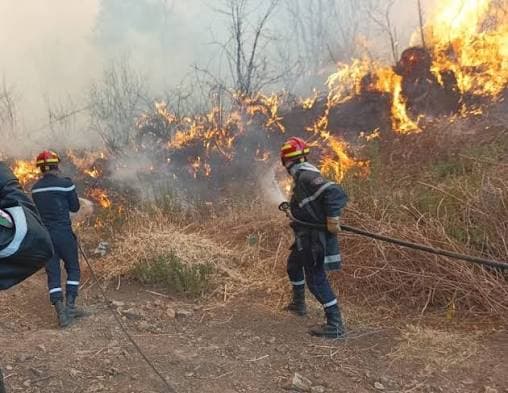 Civil Protection Extinguishes 16 Fires Across States