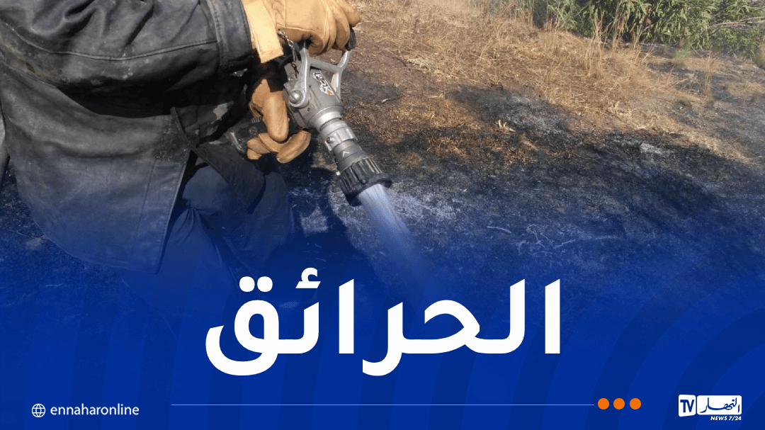 Firefighters suppress 11 wildfires nationwide