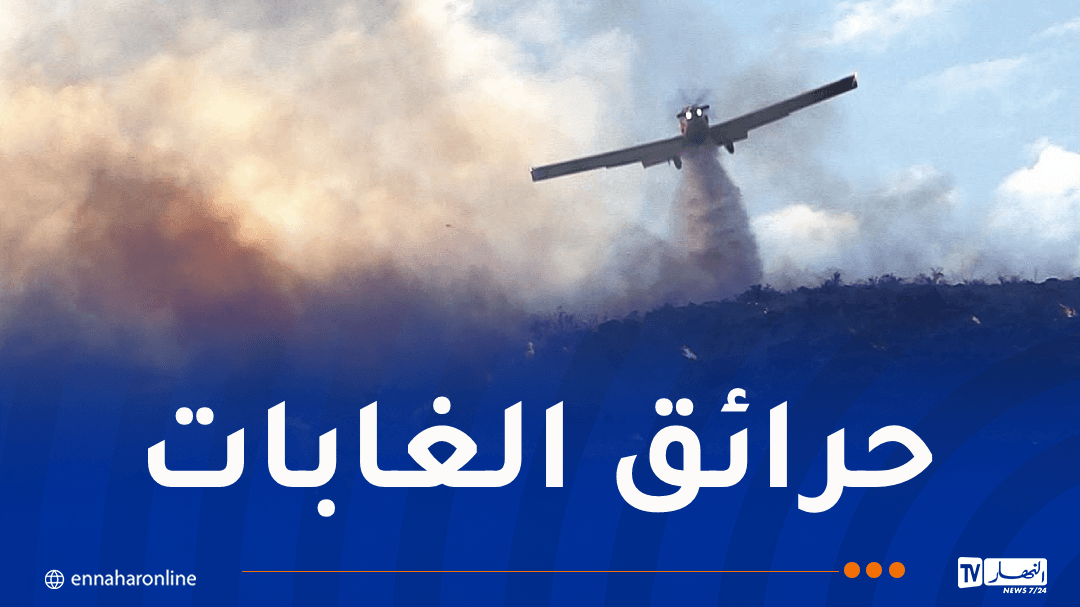 Army Units Intervene to Combat Fires in Algeria's Fifth Military Region