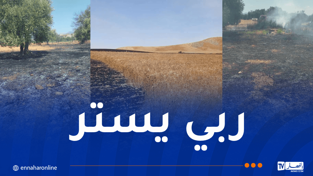 إندلاع 15 حريقًا في عدة ولايات الجزائرية—النهار أونلاين