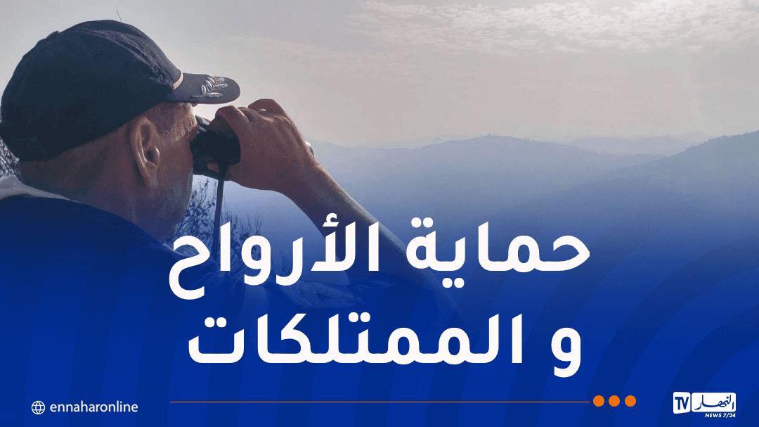 تجنيد إمكانيات بشرية ومادية كبيرة لإخماد الحرائق - النهار أونلاين