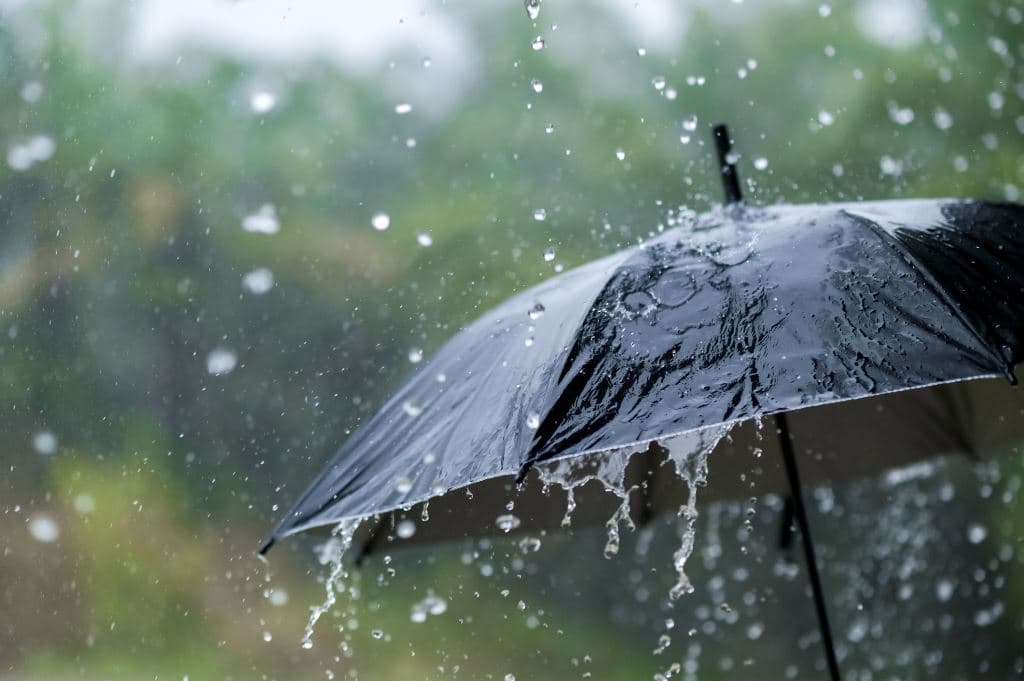 Thunderstorm Rainfall in Several States Today