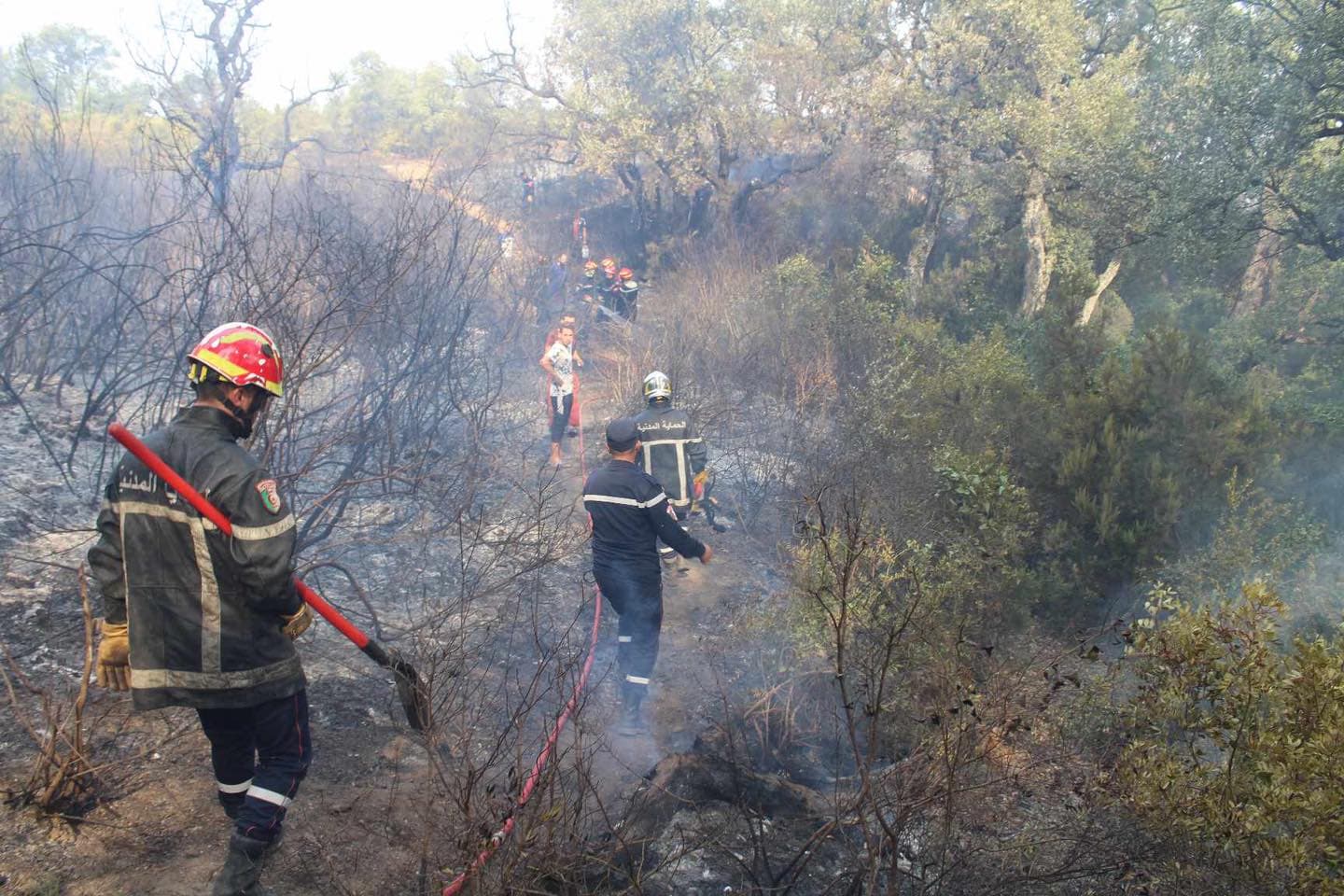 Sixteen fires in one day prompt alert
