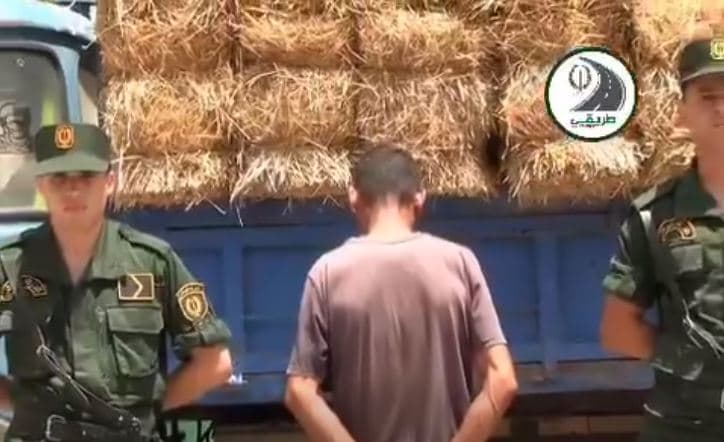 Aïn Témouchent: Truck Driver Detained for Reckless Driving