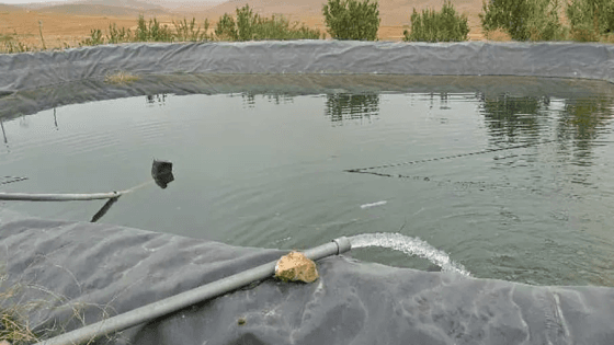 Two drown in Khenchela irrigation pond