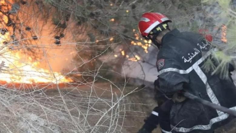 29 fires reported in past 24 hours