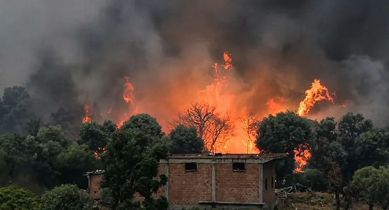 حرائق الجزائر: السيطرة على 44 وتهديد 10