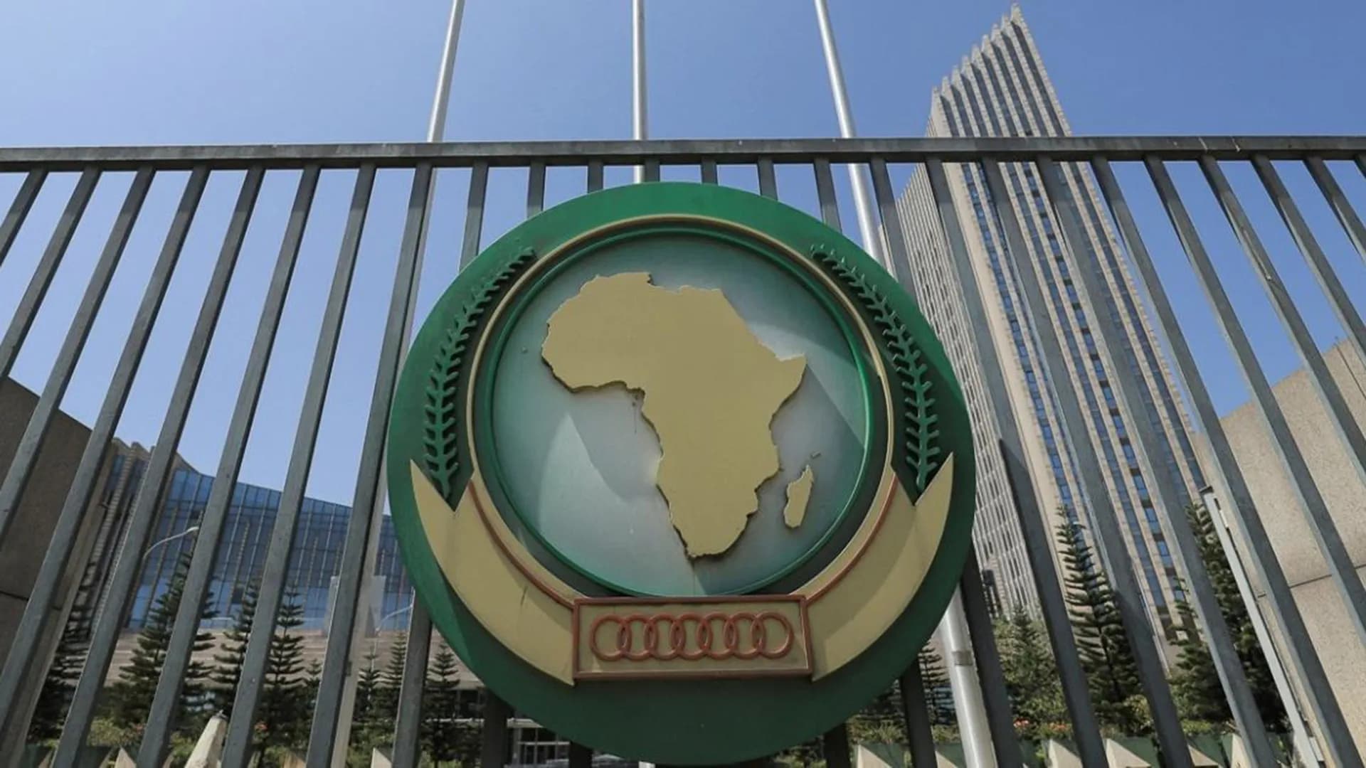 Algeria Reaffirms Principles Toward Africa