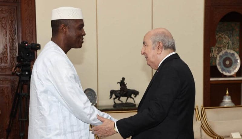 Lagoonita's Algeria Visit and Maïga's Meeting Details